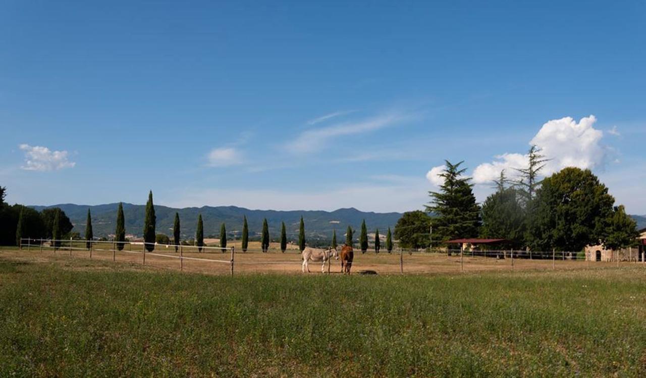 Camping Village Mugello Verde San Piero a Sieve Pokój zdjęcie